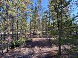 TBD-LOT 479 Birch Drive - Photo 3