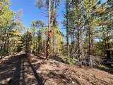 TBD-LOT 479 Birch Drive - Photo 8