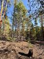 TBD-LOT 479 Birch Drive - Photo 9