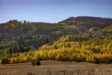 TBD Appaloosa Way - Photo 18
