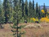TBD Appaloosa Way - Photo 5