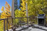 1139 Boreas Pass Road - Photo 11