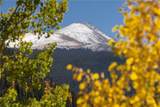 1139 Boreas Pass Road - Photo 13