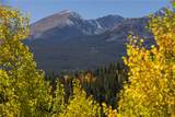 1139 Boreas Pass Road - Photo 40