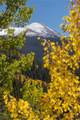 1139 Boreas Pass Road - Photo 41