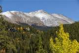 1139 Boreas Pass Road - Photo 42