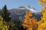 1139 Boreas Pass Road - Photo 43