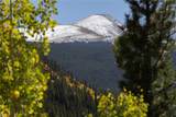 1139 Boreas Pass Road - Photo 46