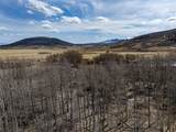 1555 Sheep Ridge Road - Photo 10