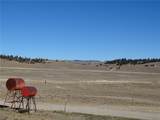 278 Cherokee Trail - Photo 9