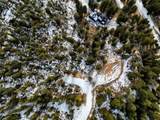 32764 Lodgepole Circle - Photo 38