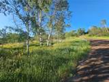 31145 Broken Talon Trail - Photo 3
