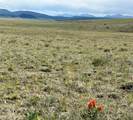 TBD Antero Drive - Photo 19