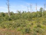 55966 Hannahs Way - Photo 14