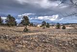 810 Buffalo Ridge Road - Photo 12