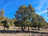 Lot 395 Bonell Drive - Photo 11
