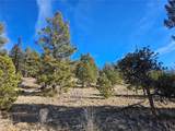 Lot 395 Bonell Drive - Photo 16