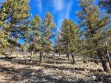 Lot 395 Bonell Drive - Photo 23
