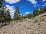 Lot 395 Bonell Drive - Photo 29