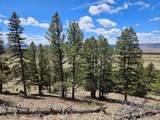 Lot 395 Bonell Drive - Photo 42