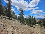 Lot 395 Bonell Drive - Photo 45