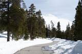 515 Miners View Road - Photo 20