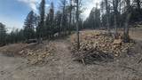 1423 Redhill Road - Photo 30