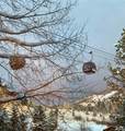 2308 Ski Trail Lane - Photo 8