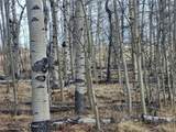 918 Little Baldy Circle - Photo 24