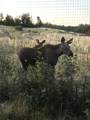 216 Glacier Ridge Road - Photo 32