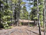 2203 Lakeside Drive - Photo 21
