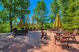 293 Kestrel Lane - Photo 49
