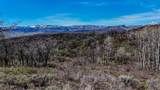 TBD County Road 129 - Photo 11
