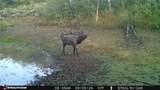 TBD County Road 129 - Photo 14