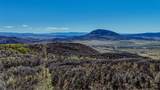 TBD County Road 129 - Photo 15