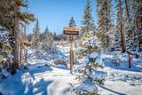 4200 Lodge Pole Circle - Photo 42