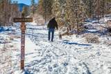 4200 Lodge Pole Circle - Photo 43