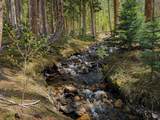 189 Tip Top Trail - Photo 10