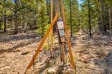 265 Placer Drive - Photo 24