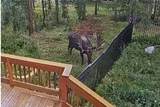 384 Blue Ridge Road - Photo 28