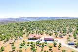 76 County Road 60B - Photo 1