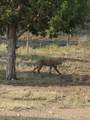 76 County Road 60B - Photo 41
