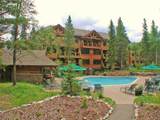 50 Mountain Thunder Drive - Photo 24