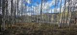 2180 Currant Way - Photo 22
