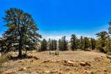 5013 Middle Fork Vista - Photo 5