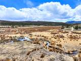 2867 Willow Creek Lane - Photo 40
