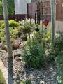 1246 Taylor Street - Photo 24