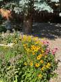 1246 Taylor Street - Photo 26