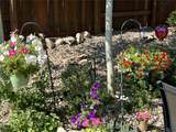 1246 Taylor Street - Photo 30