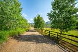 31775 Bradley Ranch - Photo 31